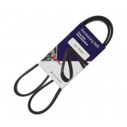 CORREA POLY-V 6PK1200 ELASTICA