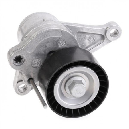 TENSOR POLY-V PARA RENAULT MASTER 13/.. 2.3DCI AUTOMATICO