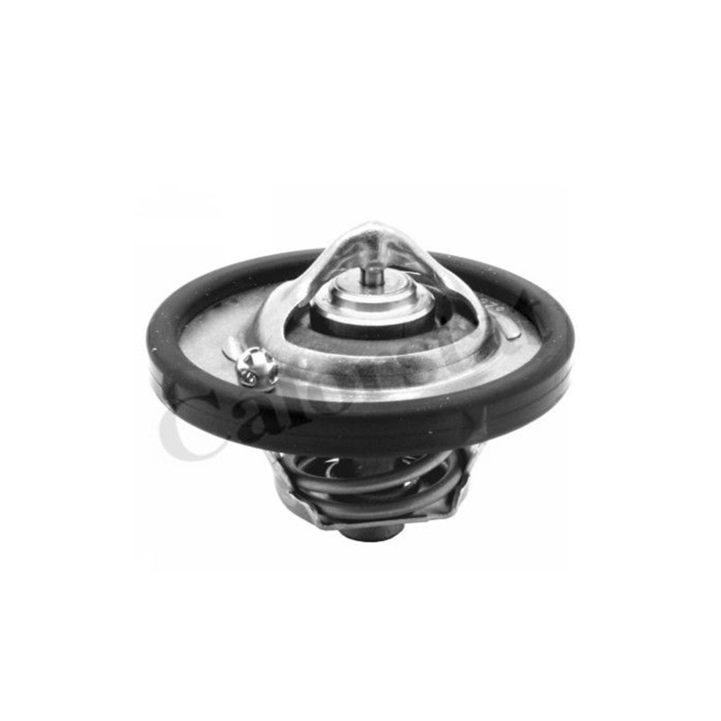 TERMOSTATO PARA FORD FIESTA/FOCUS 1.6 Z.SIGMA