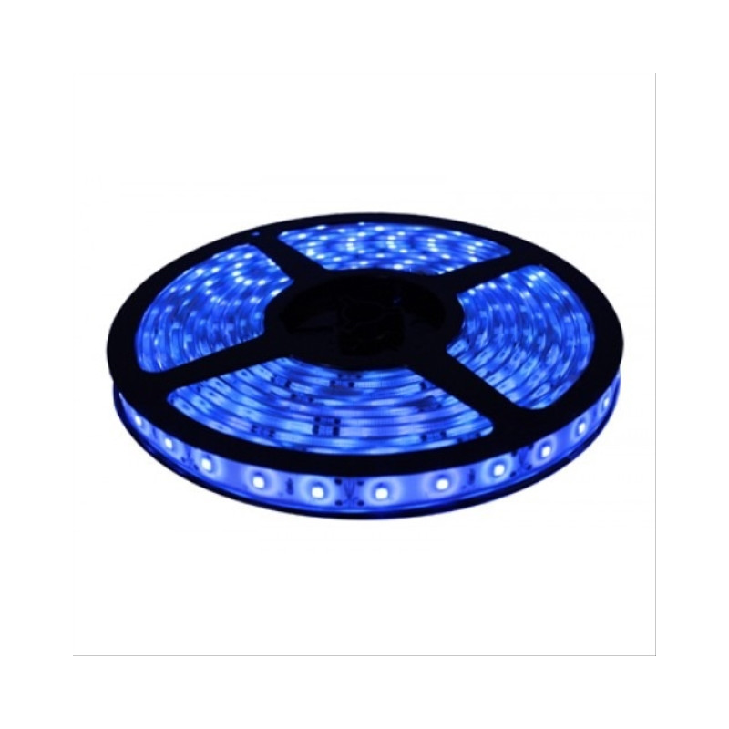 CINTA LED 12v ANCHA AZUL x MT.
