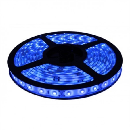 CINTA LED 12v ANCHA AZUL x MT.