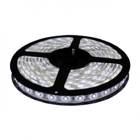 CINTA LED 24v ANCHA BLANCA x MT.