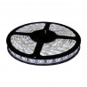 CINTA LED 24v ANCHA BLANCA x MT.