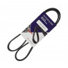 CORREA POLY-V 3PK0856 ELASTICA