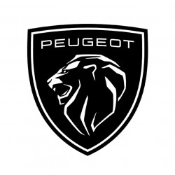 KIT DE DISTRIBUCION PARA PEUGEOT 208/C4 CACTUS 1.2T Puretech