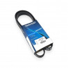 CORREA POLY-V 6PK124