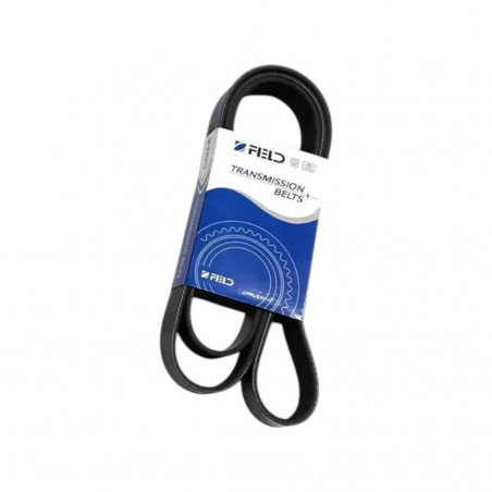 CORREA POLY-V 8PK1550