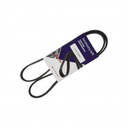 CORREA POLY-V 6PK2565