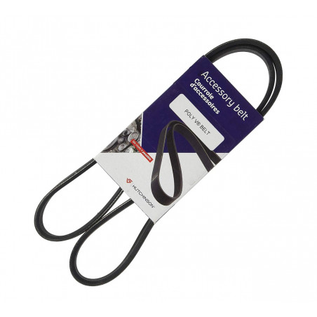 CORREA POLY-V 6PK1200 ELASTICA
