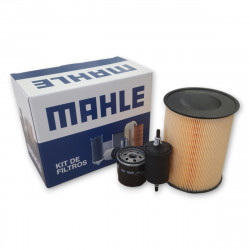 KIT DE FILTROS PARA FORD...