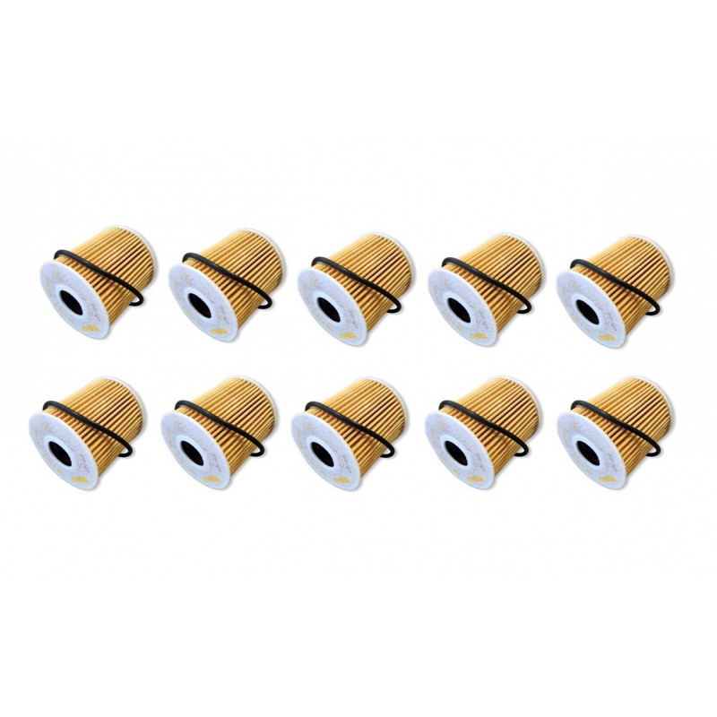 KIT X10 FILTROS DE ACEITE PARA PEUGEOT/CITROEN (CARTUCHO)