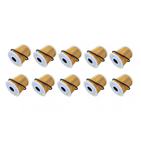 KIT X10 FILTROS DE ACEITE PARA PEUGEOT/CITROEN (CARTUCHO)