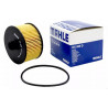 FILTRO DE ACEITE PARA RENAULT DUSTER/OROCH 21/.. 1.3 Turbo