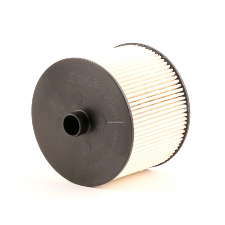 FILTRO DE COMBUSTIBLE PARA PEUGEOT 407/807/C5 2.0 HDI