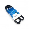 CORREA POLY-V 5PK1238
