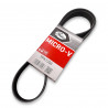 CORREA POLY-V 7PK1350