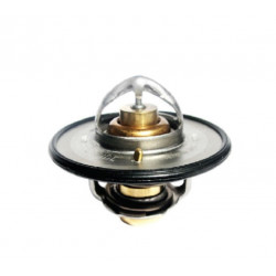 TERMOSTATO PARA FORD F100...
