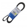 CORREA POLY-V 6PK2565
